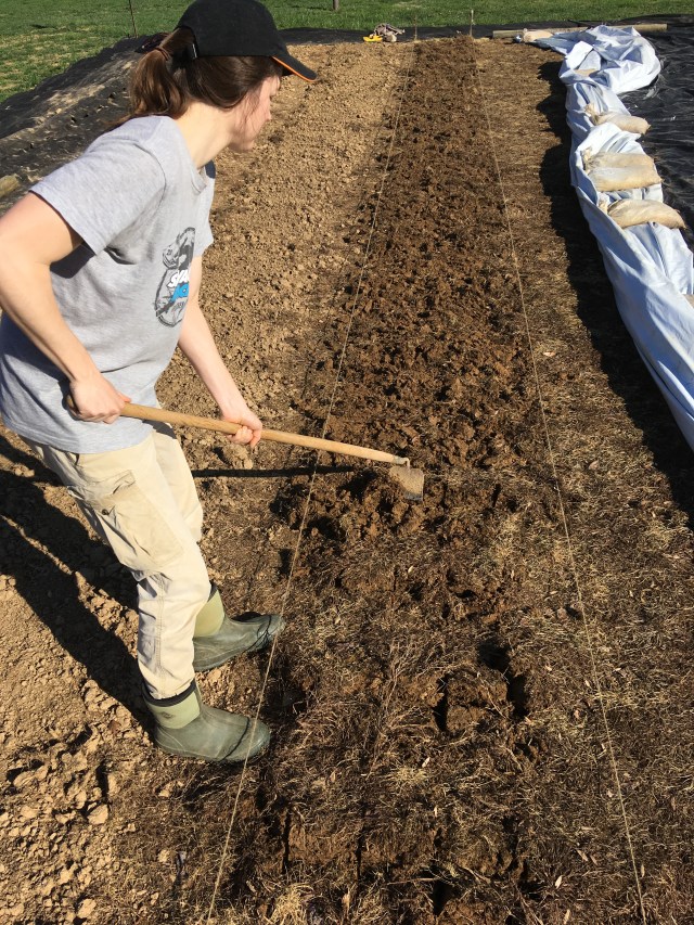 Ahswanee Farm photo 18
